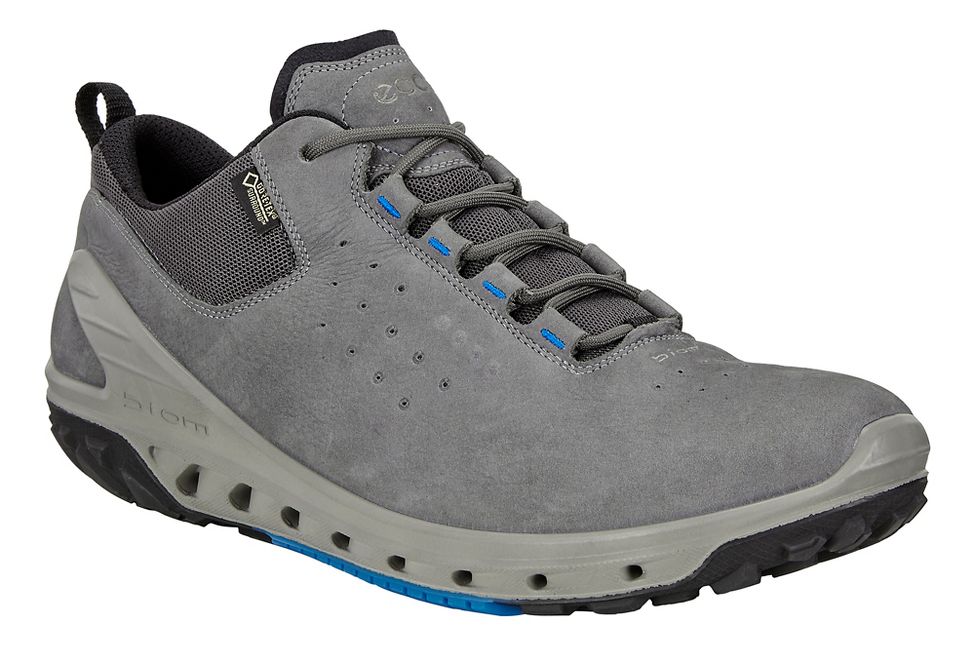 ecco men's biom venture