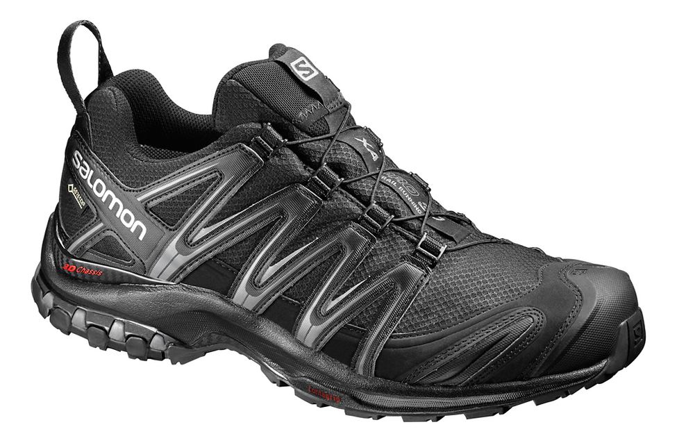 Manifestatie Krimpen uitgehongerd Mens Salomon XA Pro 3D GTX Trail Running Shoe